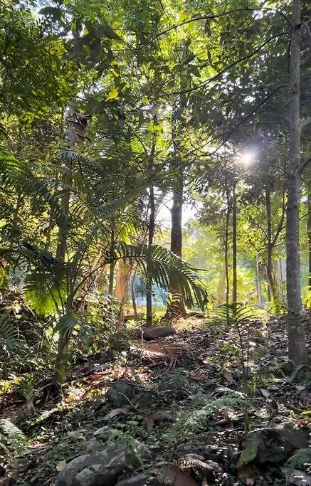Winding Creek Cottage Bald Knob